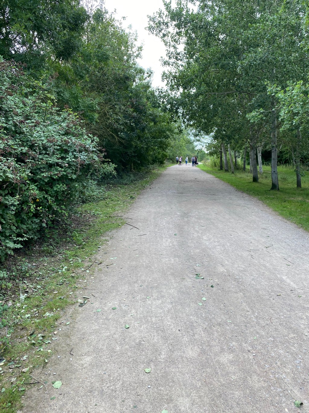 The Forest Centre & Millennium Country&nbsp;Park
